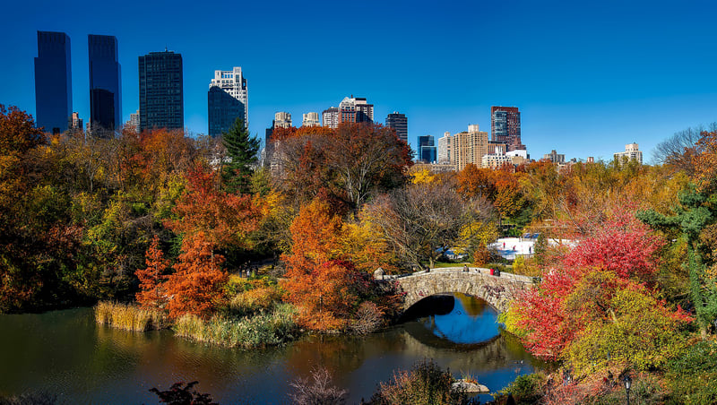 Benches Of Central Park